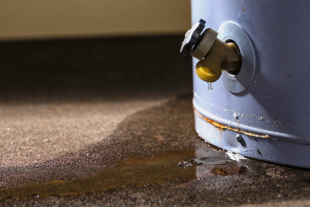Best Water damage contractors near me  in Englewood, FL