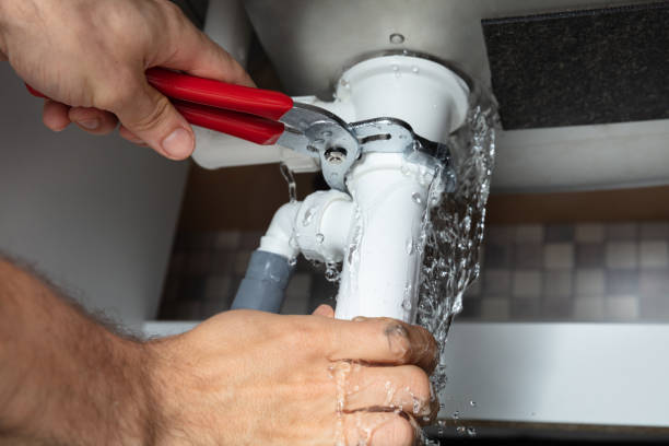 Best Ceiling water damage repair  in Englewood, FL