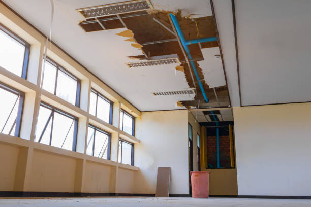 Best Sewage cleanup and water damage restoration  in Englewood, FL