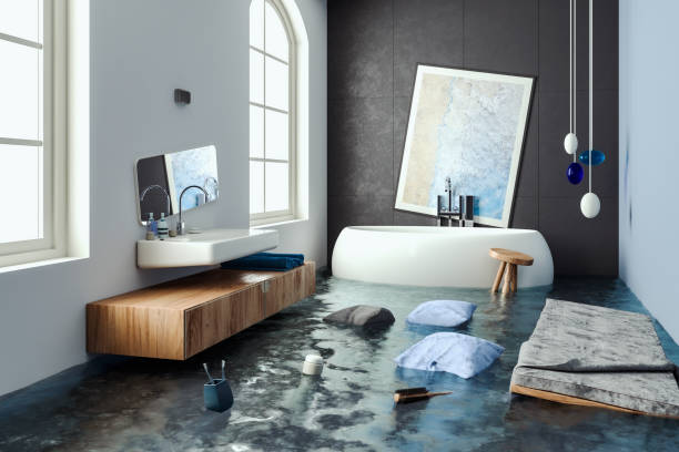 Best Water damage restoration near me  in Englewood, FL