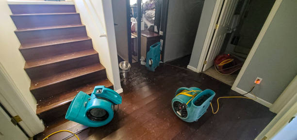 Best Residential water damage restoration  in Englewood, FL