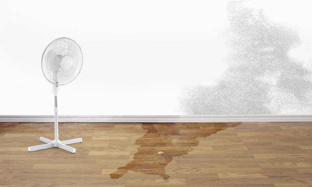 Best 24/7 water damage repair  in Englewood, FL