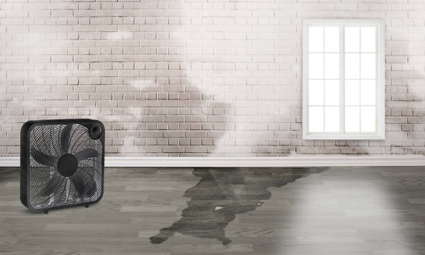 Best Emergency water damage restoration  in Englewood, FL