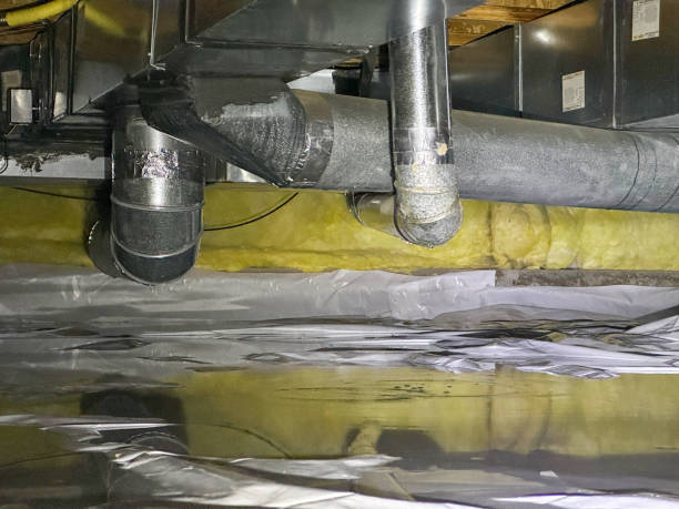 Best Water damage restoration near me  in Englewood, FL