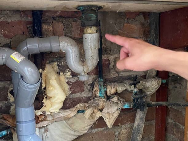 Best Water damage cleanup near me  in Englewood, FL