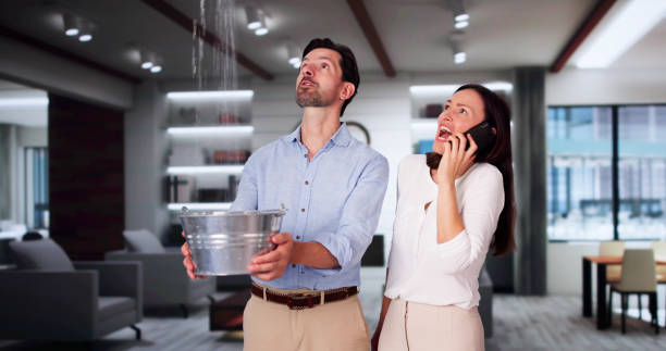 Best Flood damage cleanup  in Englewood, FL