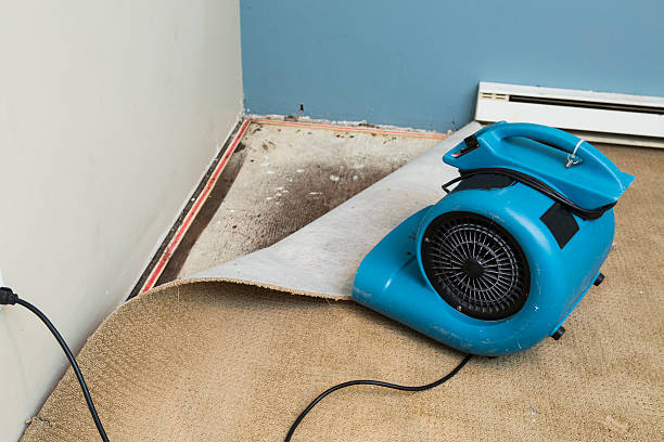 Water damage restoration experts in FL